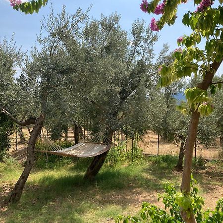 Casa Sisu-Appartamento Immerso Negli Ulivi SantʼElia Fiumerapido Εξωτερικό φωτογραφία