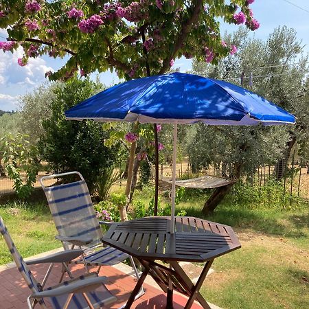 Casa Sisu-Appartamento Immerso Negli Ulivi SantʼElia Fiumerapido Εξωτερικό φωτογραφία
