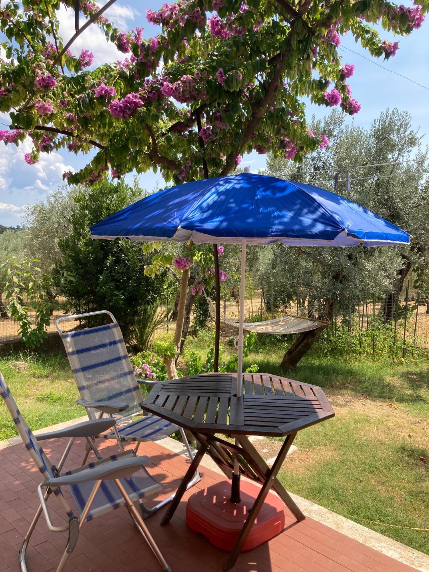Casa Sisu-Appartamento Immerso Negli Ulivi SantʼElia Fiumerapido Εξωτερικό φωτογραφία