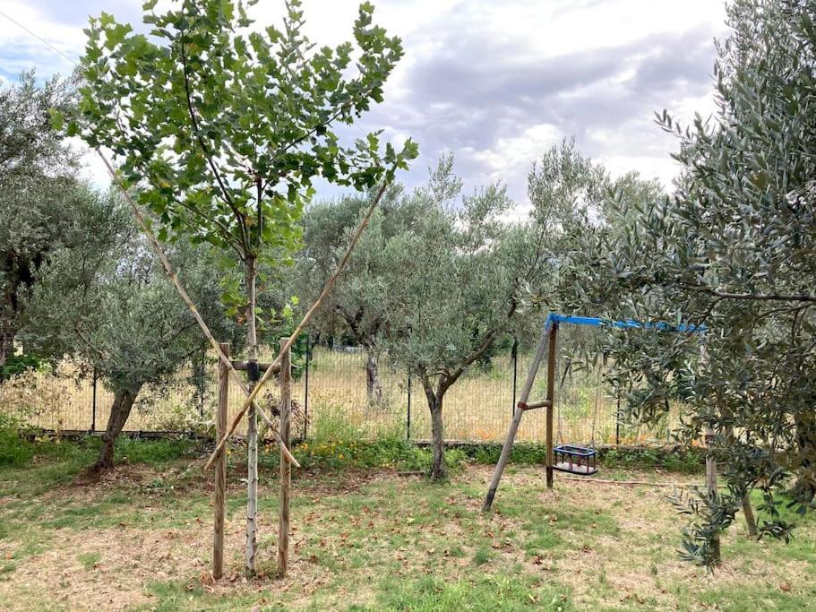 Casa Sisu-Appartamento Immerso Negli Ulivi SantʼElia Fiumerapido Εξωτερικό φωτογραφία