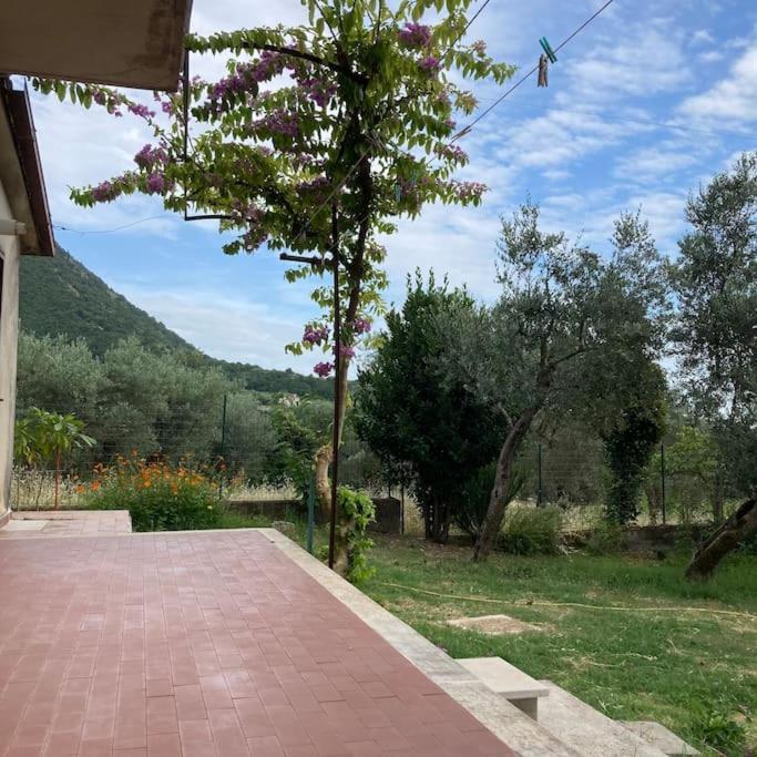 Casa Sisu-Appartamento Immerso Negli Ulivi SantʼElia Fiumerapido Εξωτερικό φωτογραφία