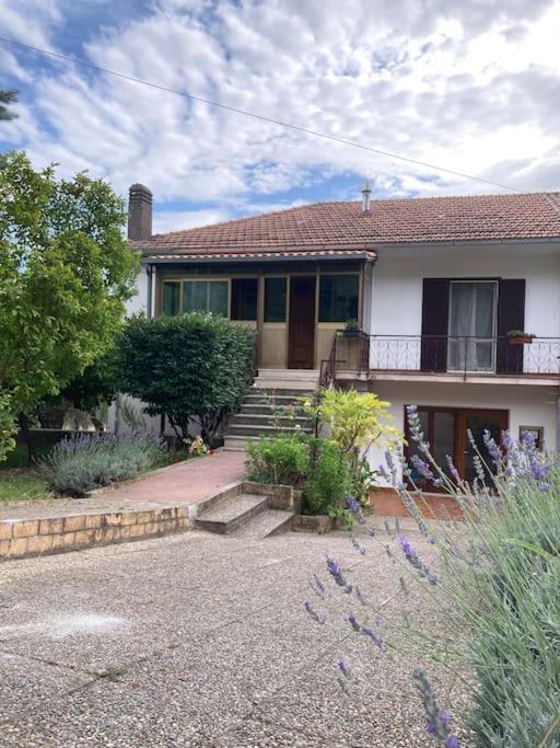 Casa Sisu-Appartamento Immerso Negli Ulivi SantʼElia Fiumerapido Εξωτερικό φωτογραφία