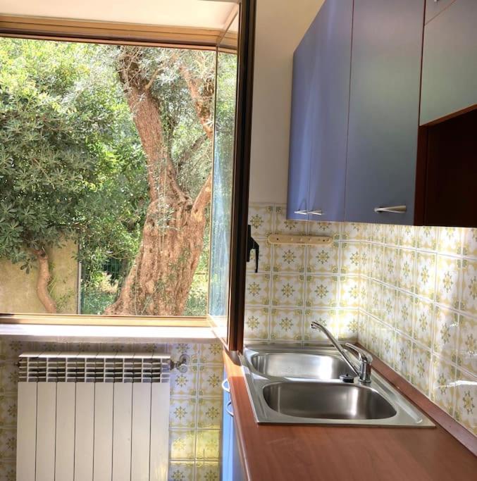 Casa Sisu-Appartamento Immerso Negli Ulivi SantʼElia Fiumerapido Εξωτερικό φωτογραφία