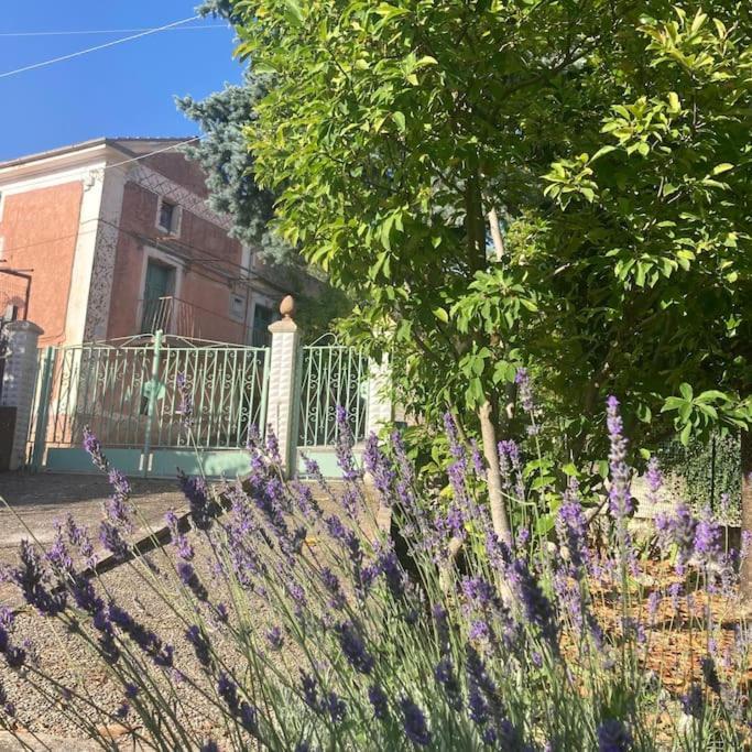 Casa Sisu-Appartamento Immerso Negli Ulivi SantʼElia Fiumerapido Εξωτερικό φωτογραφία