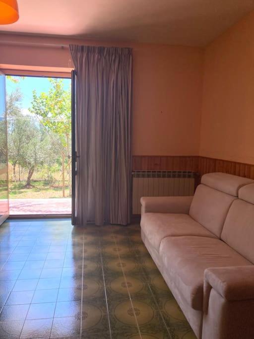Casa Sisu-Appartamento Immerso Negli Ulivi SantʼElia Fiumerapido Εξωτερικό φωτογραφία