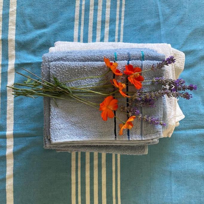 Casa Sisu-Appartamento Immerso Negli Ulivi SantʼElia Fiumerapido Εξωτερικό φωτογραφία
