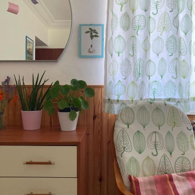 Casa Sisu-Appartamento Immerso Negli Ulivi SantʼElia Fiumerapido Εξωτερικό φωτογραφία