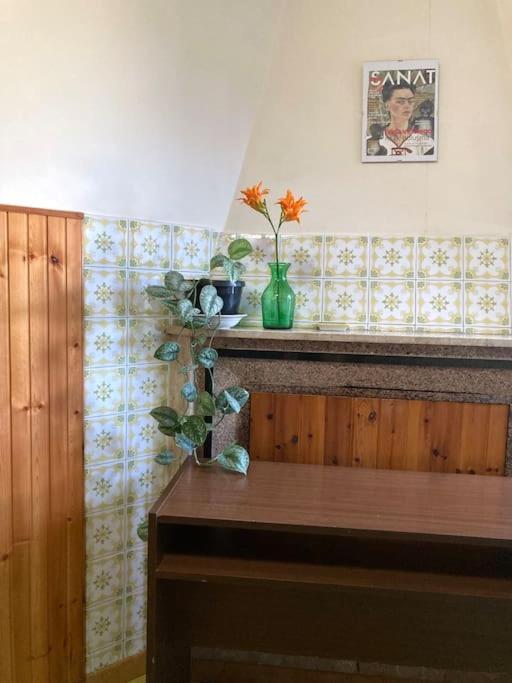 Casa Sisu-Appartamento Immerso Negli Ulivi SantʼElia Fiumerapido Εξωτερικό φωτογραφία